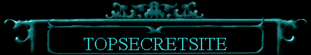  TOPSECRETSITE 